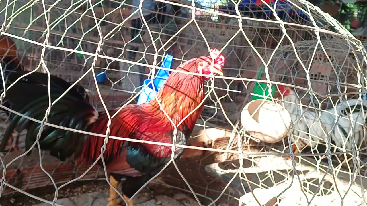 17.01 năm 2026 .@708..383..770 .ae xem tham khảo 