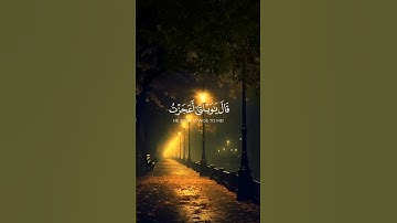 فطوعت له نفسه قتل أخيه || تلاوة خاشعة//بصوت القارئ صالح اليافعي💙🎧صوت يريح الاعصاب🥀🌿