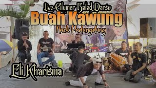 Buah Kawung naek ' padungdung ' - Eli Kharisma Balad Darso ( Arf Audio )