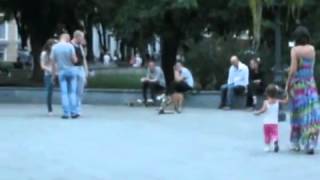 Собака на скейте,Одесса A dog on a skateboard, Odessa