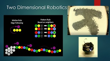 What Intellectual Machines Can Learn from a School of Fish Summary