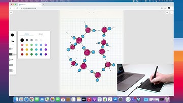 Wacom |  Start using Teams with Intuos and Mac