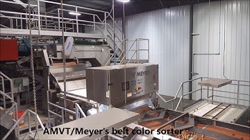 AMVTMeyer Belt Sorter for Inshell Walnut in California