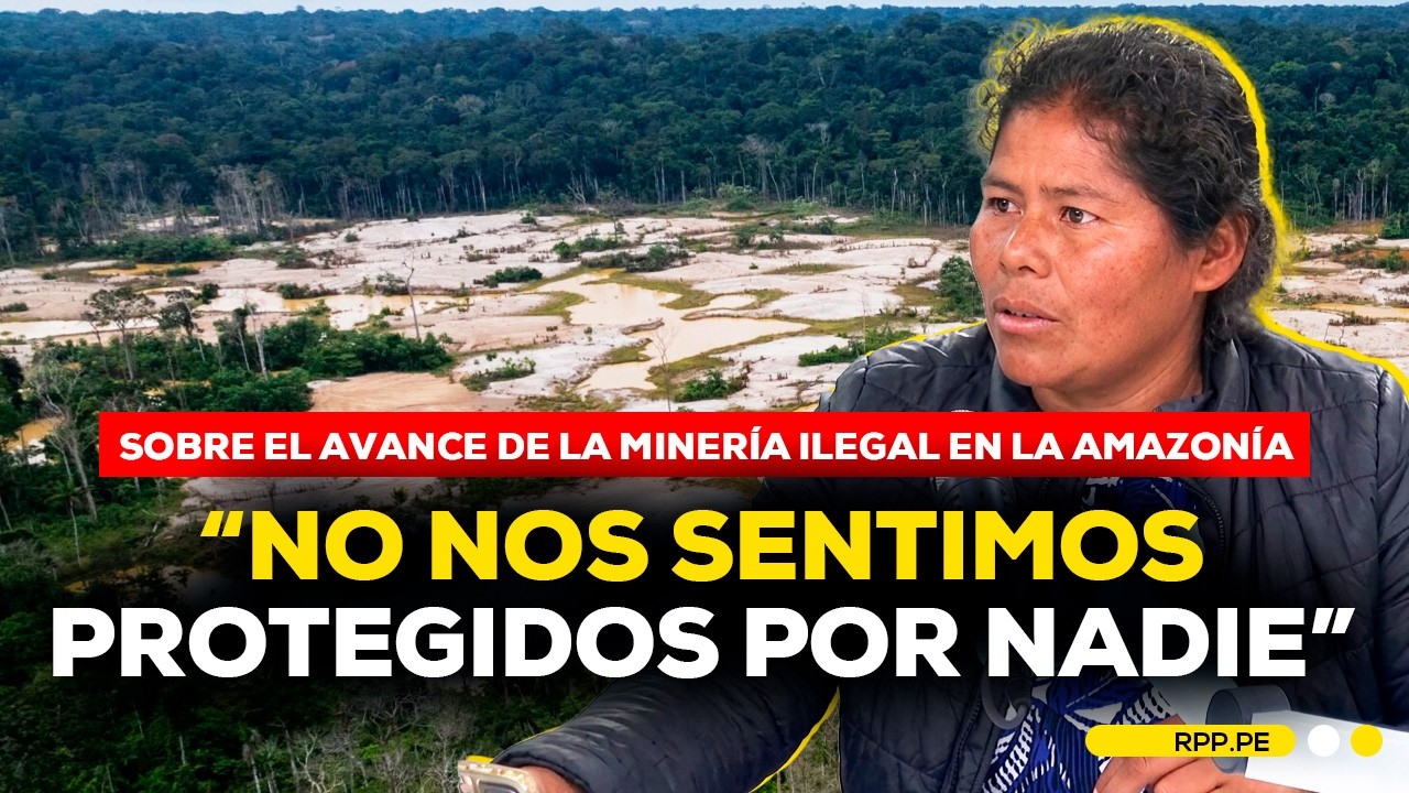 🌳 Defensora amazónica alerta sobre el impacto de la MINERÍA ILEGAL en ...