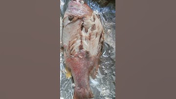 Shorts/ Cá Nướng Chấm Muối ớt..!...👈