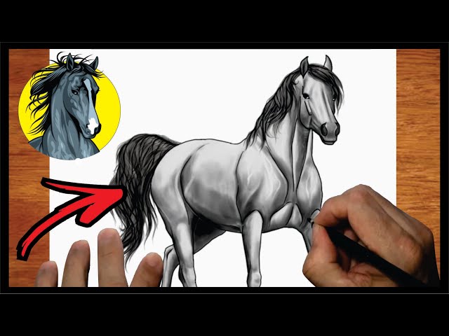 Como desenhar um cavalo - passo a passo - narrado 