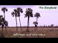 The Everglades - 20m of relaxation with nice 1080p views + soft music