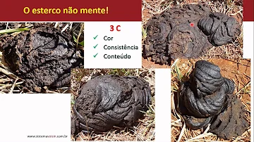 Por que faltou água hoje?