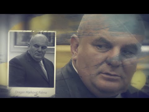 DRAGAN MARKOVIĆ PALMA: