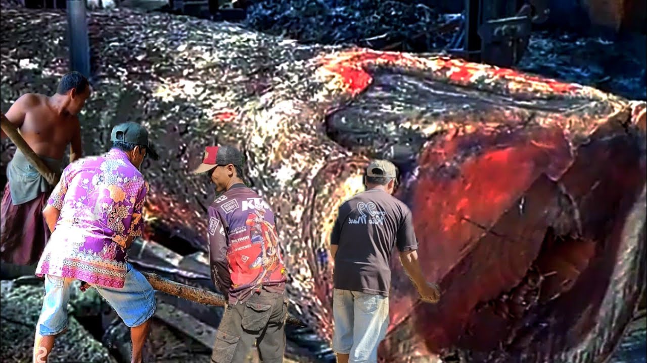 Incredible Rare Wood Sawing Process