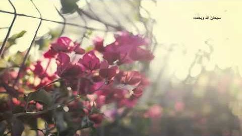 Quran _ Nasser alqtami- سورة العاديات- ناصر القطامي