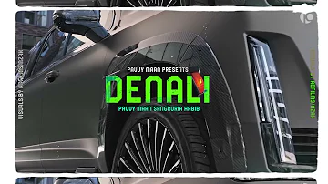 Denali | Pavvy Maan (Official Visualizer)| New Punjabi Songs 2022 | Latest Punjabi Songs 2022