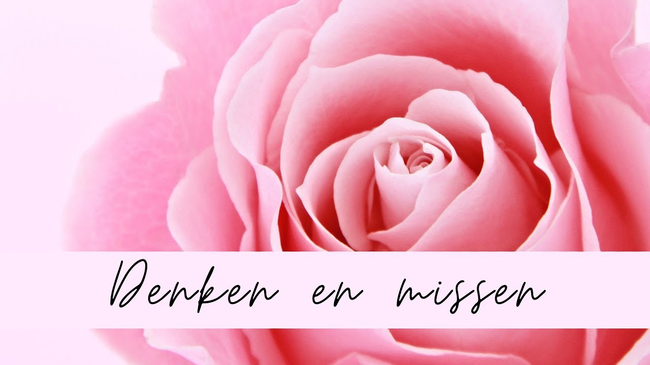 TweelingZielen Update | Ik ben je niet vergeten - YouTube