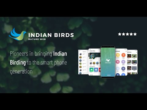 Indian Birds