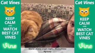 Funniest Cat Vines #124 - Updated September 19th, 2015 by Ultimate Cat Vines 886 views 8 years ago 20 minutes