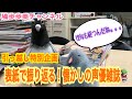 宅配買取に挑戦!『表紙で振り返る📚懐かしの声優雑誌』#1