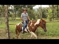 UMA TARDE NA CASA DOS TROPEIROS - SÃO FRANCISCO XAVIER SP