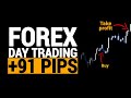 The Forex Trader