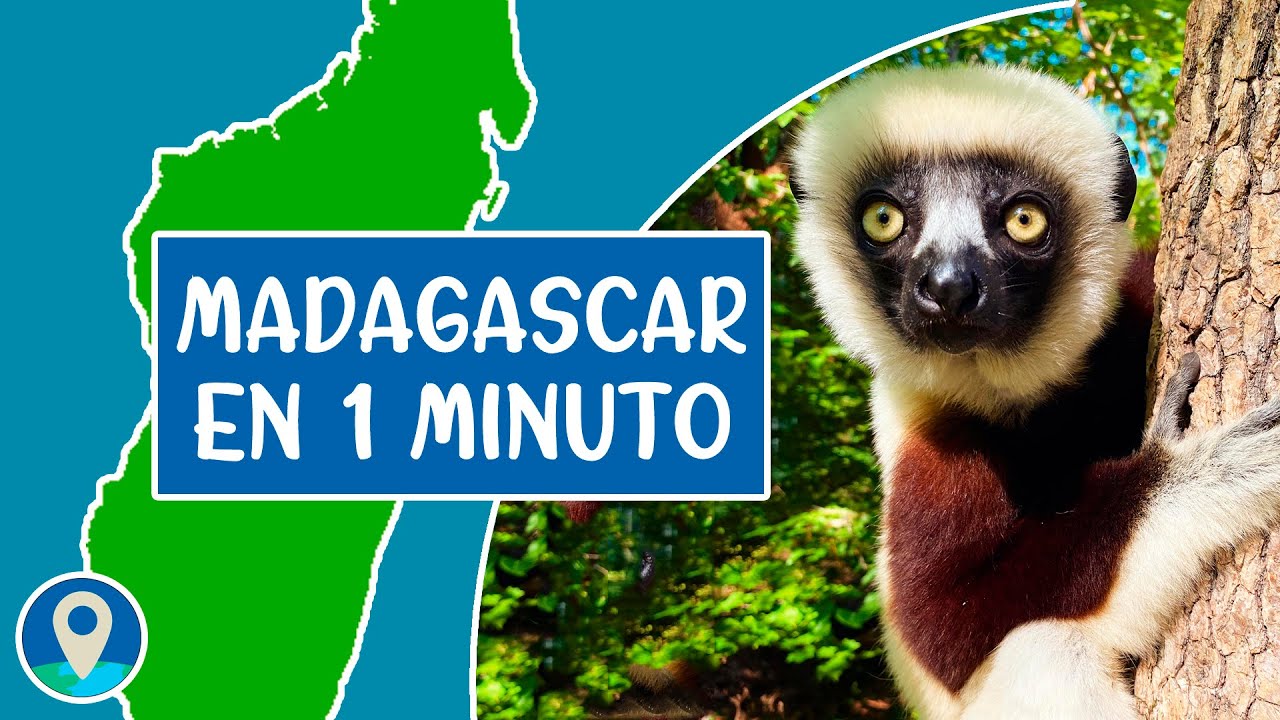 Madagascar en 1 minuto | #shorts