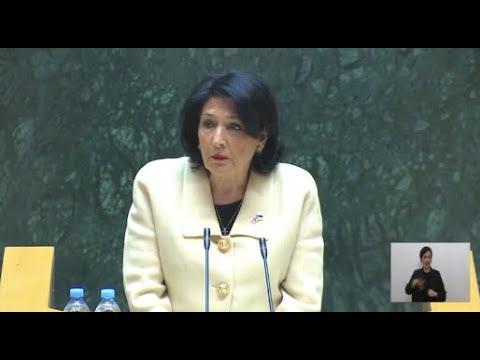 \"ქართული ოცნება\" სცოდავს, როცა ვერ ბედავს  გამოხატოს ის, რასაც ჩვენი ისტორია და ღირსება გვკარნახობს\"