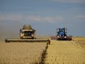 Cette ferme de 2300 ha sème son maïs pendant la moisson avec un T9.450 !!! / Seine et Marne / #1