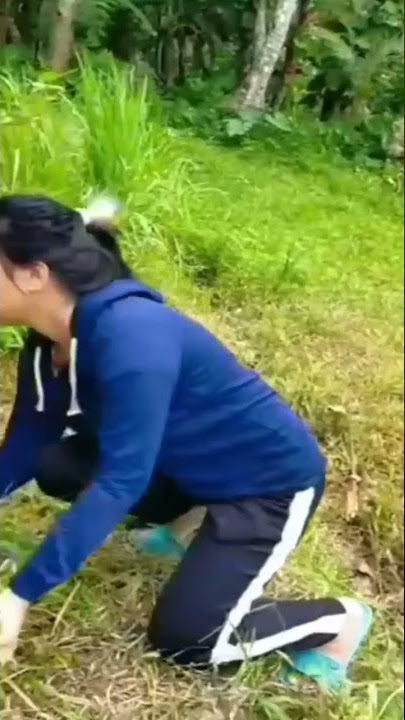 Gadis Cantik mencari rumput