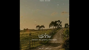 سورة النحل   القارئ احمد خضر
