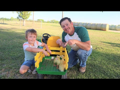 Finding hay for