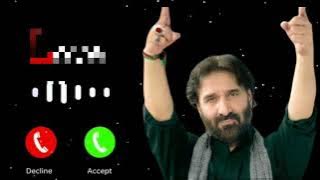 Mere imam Hussain (a.s) | Mobile ringtones 2024 | Nadeem sarwar