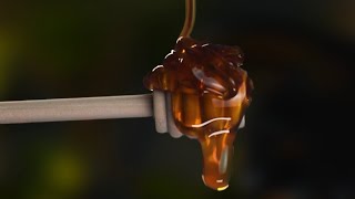 Honey Commercial Video