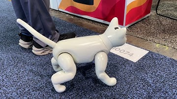 MarsCat Walking at CES
