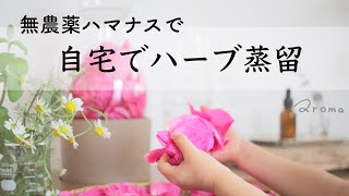 【自宅でハーブ蒸留】静岡県産無農薬ハマナスで毎日の化粧水作り