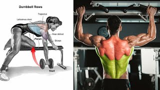 Back Exercises With Dumbbells || Lower Back Exercises || Back Exercises For Pain