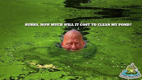 How Much does it Cost to Clean a Pond?