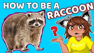 The Quirky & Weird Rules Of Being A Raccoon part 1