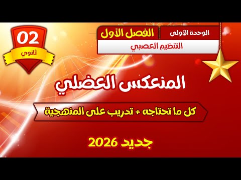 واخيرا ثانية ثانوي2 المنعكس العضلي باقوى شرح كل ما تحتاجه تدريب على المنهجية