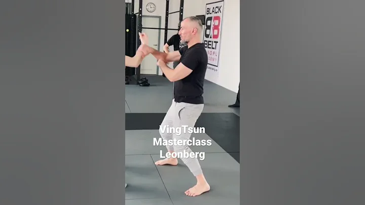 VingTsun Masterclass Leonberg #vingtsun #wingchun ...