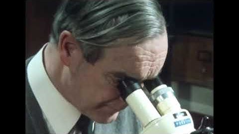 Squid Giant axon video