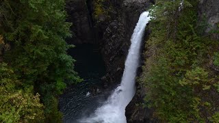 Sun Beats down providing the trees flowers (Nature Visualizer) @NewBrawlgamemusic2