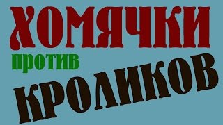 Хомячки vs кролики. Не котики, а хомяки размножаются круче кроликов