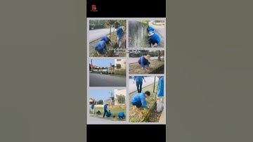 Trồng dắm cây hàng rào xanh | Poemgrams TC #viralvideo #hatinh #tbt #viralshorts #music