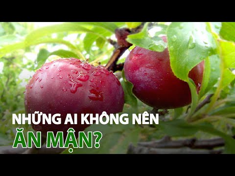 Video: NấmKít Đen - Trị Bệnh Nốt Đen Ở Quả Mận Và Quả Anh Đào