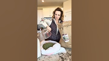 DIY HOMEMADE CHICKEN FEED | No Soy | No Corn #chickenfeed #chickens #farm #homestead