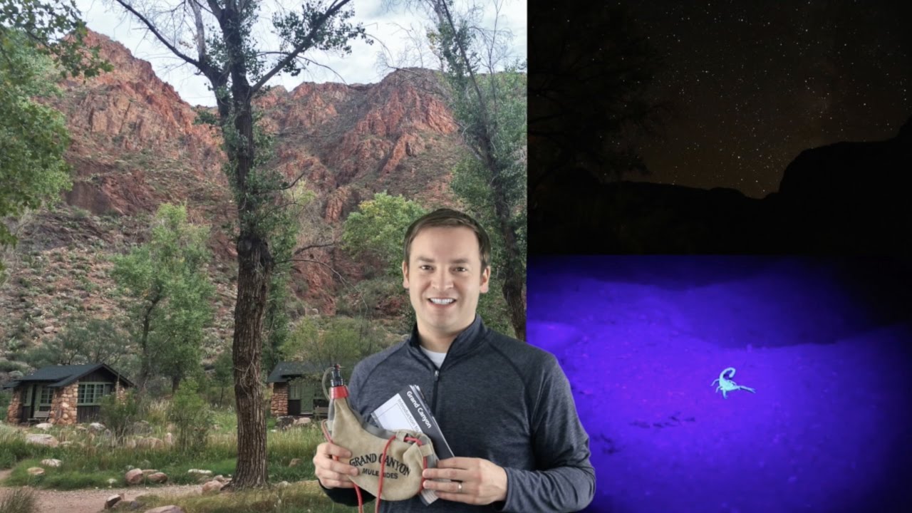 Grand Canyon Phantom Ranch Review and Tips