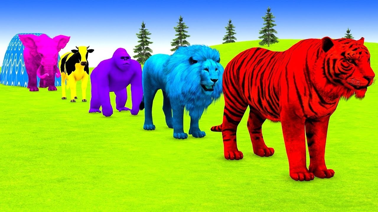 Long Slide Game With Elephant Gorilla Buffalo Hippopotamus Tiger - 3d Animal Game - Funny 3d Animals