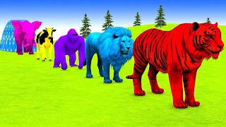 Download Lagu Long Slide Game With Elephant Gorilla Buffalo Hippopotamus Tiger - 3d Animal Game - Funny 3d Animals MP3