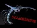 palaeoisopus