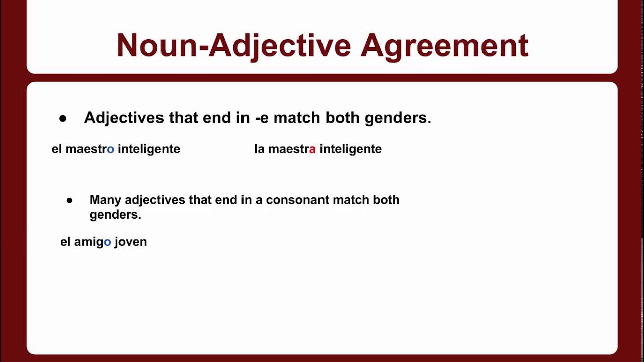 noun-adjective-agreement-youtube