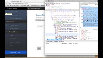 Change the appearance of DayBack Online