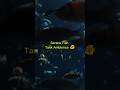 Part 1 // Serene Fish Tank Ambience 🐠 Soothing Music for Deep Focus